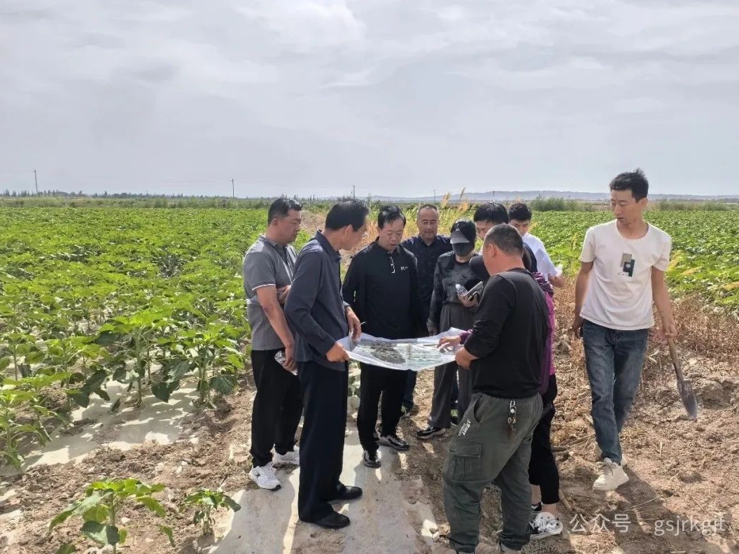 企業動態 | 金控自然生態公司赴瓜州縣實地推動項目指標入庫工作
